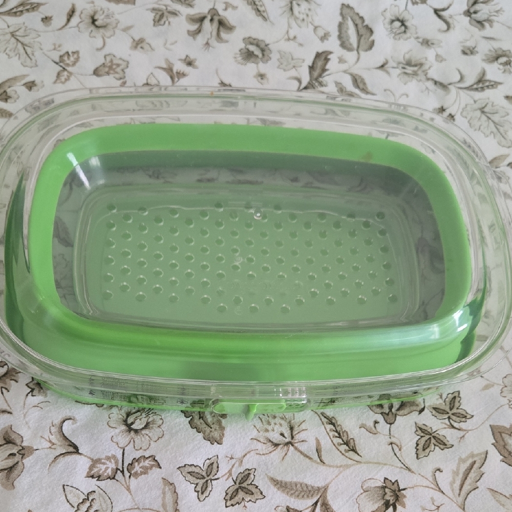 Progressive Green Plastic Vegtable Storage Container